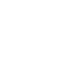 SilverOpus